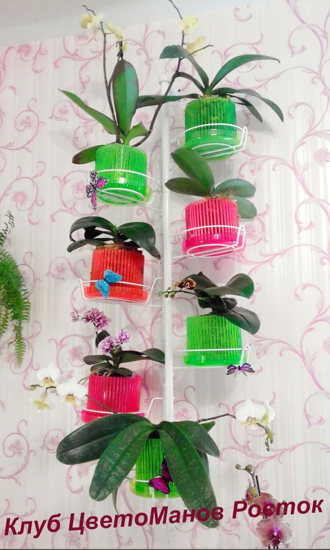 подставка металлическая для цветов на стену. Фото N22