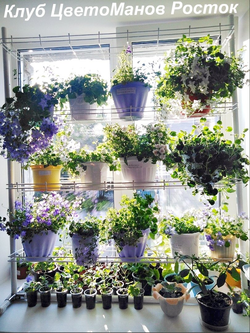 разборный стеллаж на подоконник для растений и рассады. Фото N19